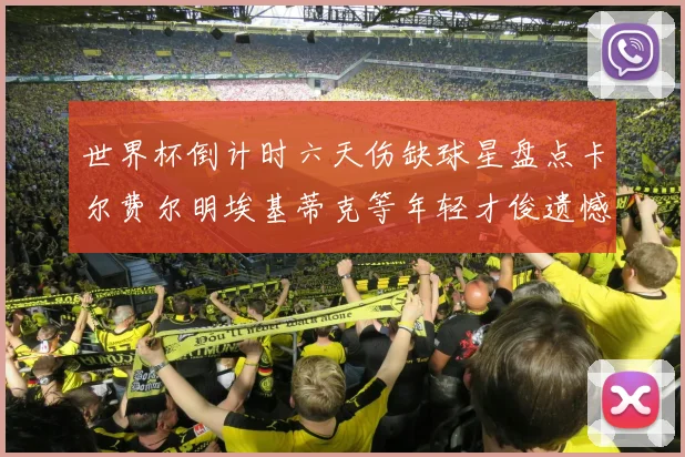 世界杯倒计时六天伤缺球星盘点卡尔费尔明埃基蒂克等年轻才俊遗憾缺席