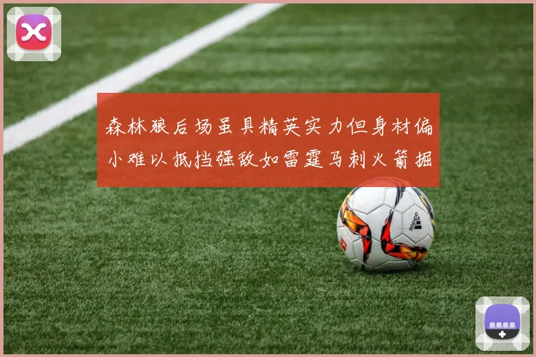 森林狼后场虽具精英实力但身材偏小难以抵挡强敌如雷霆马刺火箭掘金